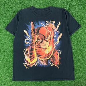 Dc comics the flash justice league